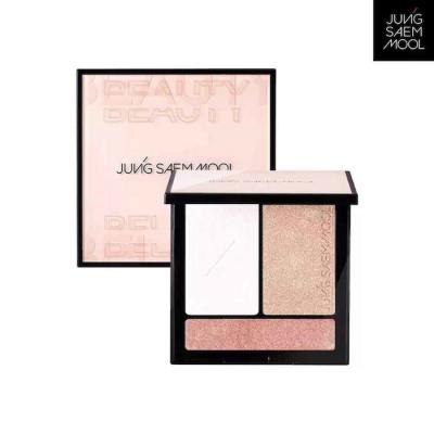 JUNG SAEM MOOL beauty Artist Face Palette (Highlighter) 13.7