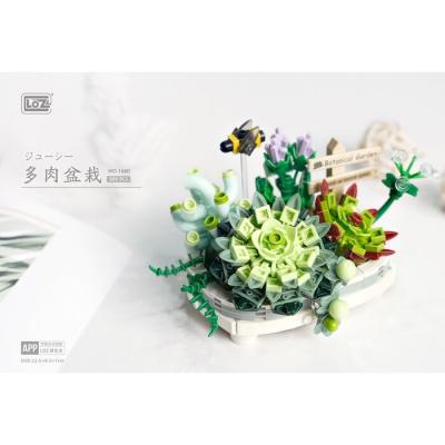 LOZ Mini Blocks - Eternal Flowers Garden Series - Succulent Potted Plant Building Bricks Set 10 x 6 x 22 cm