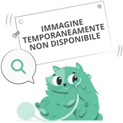 Dr. Hauschka Med Ice Plant Shampoo 150ml