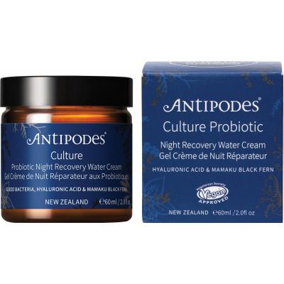 Culture Probiotic Night Recovery Water Cream 60ml