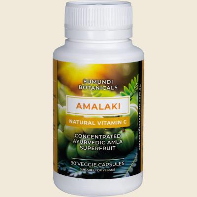 Amalaki Natural Vitamin C Capsules 90 Caps