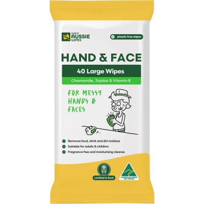 Hand & Face Large Wipes 40pk