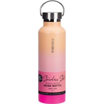 Insulated Stainless Steel Bottle Rise 750ml