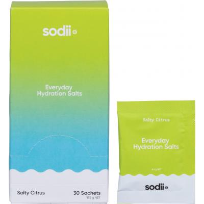 Everyday Hydration Salts Salty Citrus 30pk