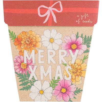 Gift of Seeds Christmas Blooms